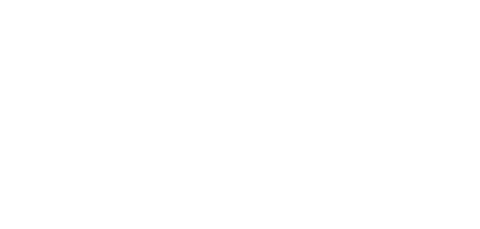 aves-logo